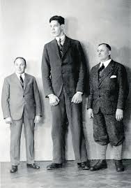 How tall is Väinö Myllyrinne?